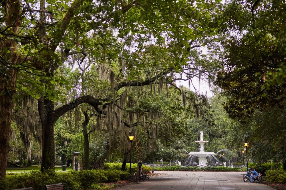 Park with water fountain and trees